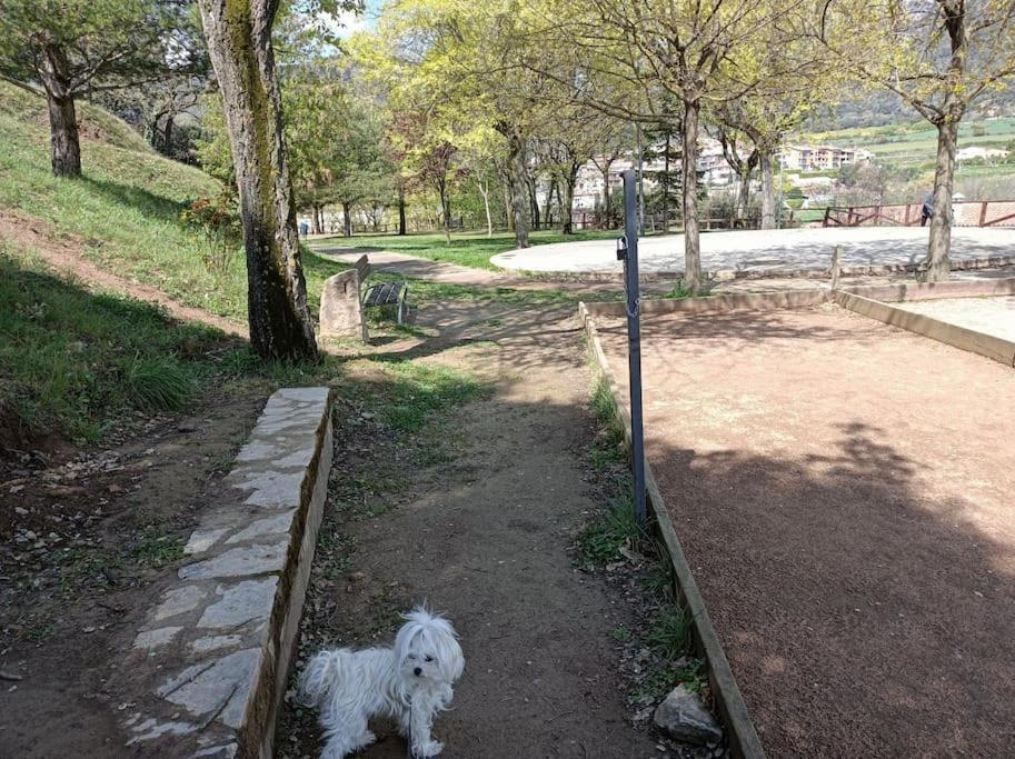 Aviá El Niuet De Cal Cacuet, La Teva Escapada Rural. 아파트 외부 사진